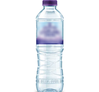 BOTELLA